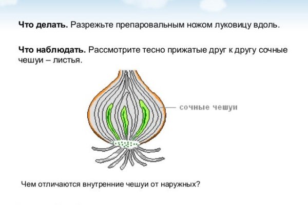 Зарегистрироваться на сайте кракен