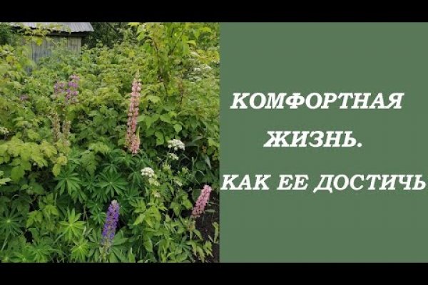 Проверенная ссылка кракен